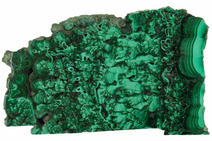 Polished Malachite Slab - Congo #157259